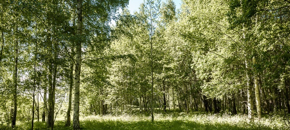 Kase , Tartu maakond, Elva vald, Võllinge küla