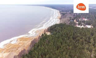 Nõmmemetsa Reiu küla , Häädemeeste vald