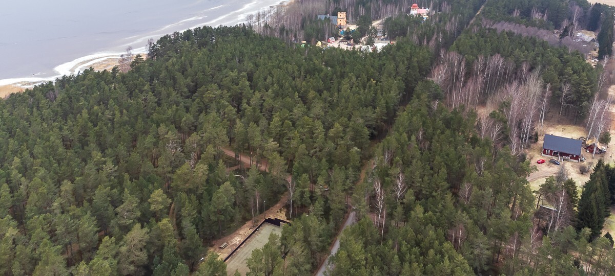 Nõmmemetsa Reiu küla , Pärnu maakond, Häädemeeste vald, Reiu