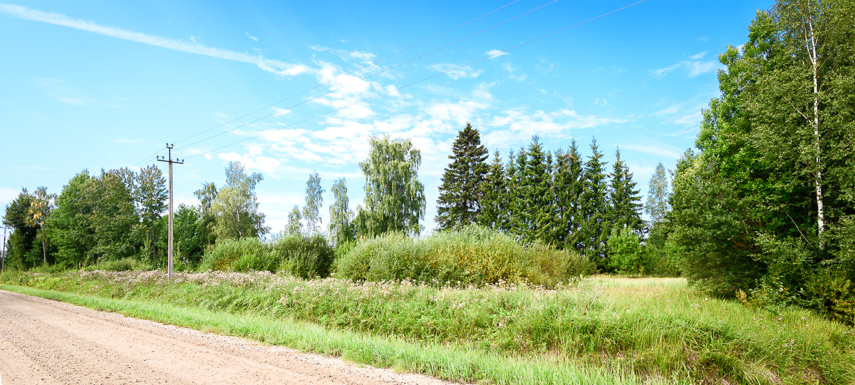 Savioja , Pärnu maakond, Pärnu, Tammuru küla